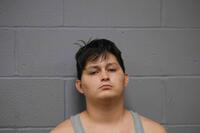 Mugshot of PEREZNEGRON, DEREK C