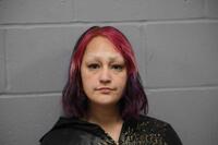 Mugshot of ULBERG, AMANDA NIVE 