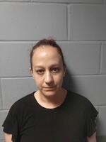 Mugshot of DESSELLE, JENNIFER MARIE